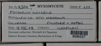 Image Associated With the Occurence